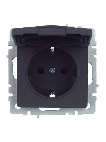 Розетка электрическая IEK BRITE BR-R16-16-44-K53 графит, вид
