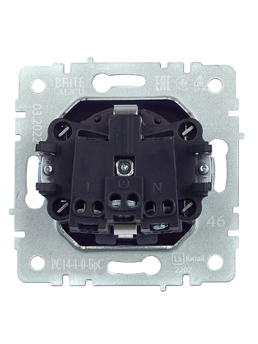 Розетка электрическая IEK BRITE BR-R14-16-K46 сталь, вид