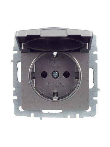 Розетка электрическая IEK BRITE BR-R16-16-K46 сталь, вид