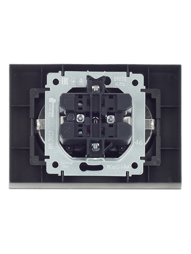 Розетка электрическая IEK BRITE BR-R24-16-K46-F сталь, изображение