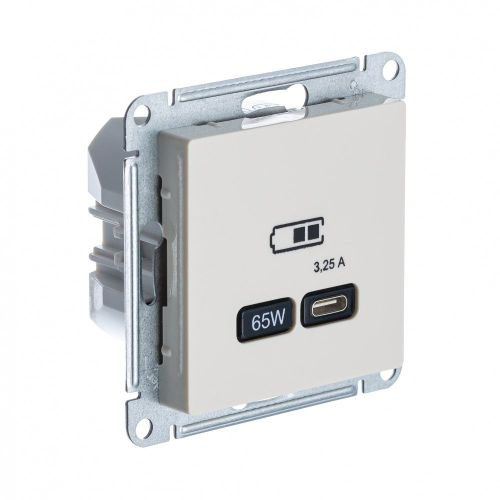 Розетка USB 1 пост Systeme Electric Atlas Design бежевый, картинка
