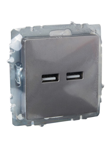Розетка USB 1 пост IEK BRITE сталь, вид
