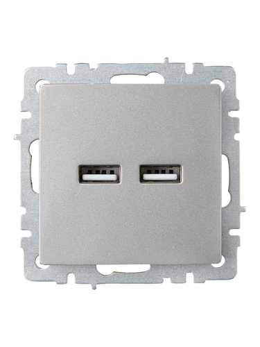 Розетка USB 1 пост IEK BRITE сталь, картинка