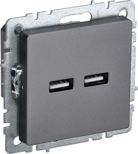 Розетка USB 1 пост IEK BRITE сталь, изображение