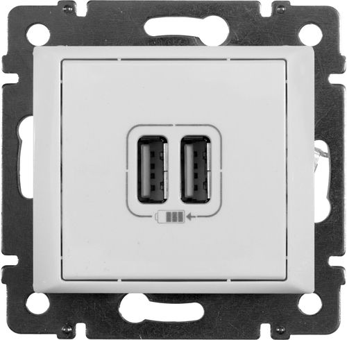 Розетка USB 2 поста Legrand Valena белый, крупный план