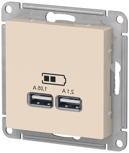 Розетка USB 2 поста Schneider Electric Atlas Design бежевый, детальное фото