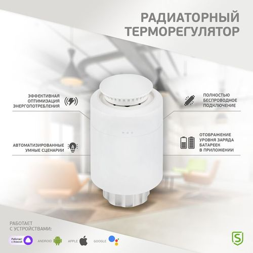 Терморегулятор для радиатора SECURIC, картинка