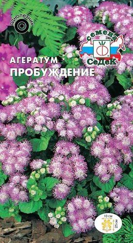 Семена Агератум СеДеК Пробуждение сиренево-белый, фото