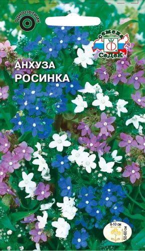 Семена Анхуза СеДеК Росинка капская, изображение
