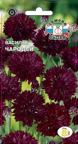 Семена Василька СеДеК Чародей 0,5 г, крупный план