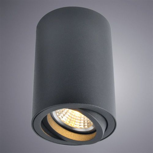 Потолочный светильник ARTE Lamp SENTRY A1560PL-1BK, крупный план