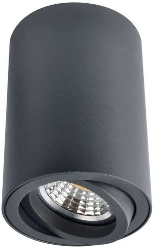 Потолочный светильник ARTE Lamp SENTRY A1560PL-1BK, фото