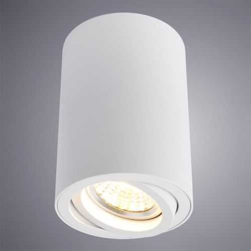 Потолочный светильник ARTE Lamp SENTRY A1560PL-1WH, крупный план