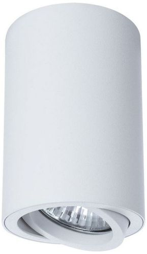 Потолочный светильник ARTE Lamp SENTRY A1560PL-1WH, картинка