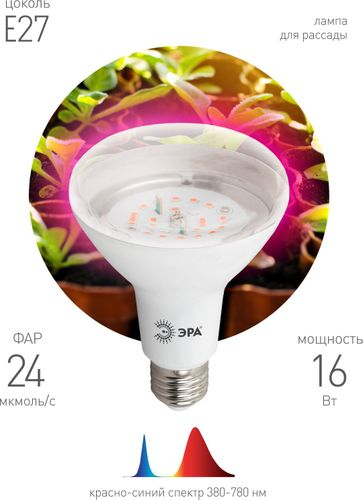 Светодиодная фитолампа красно-синего спектра ЭРА FITO-16W-RB-E27-K 16Вт 1310K, картинка