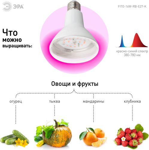 Светодиодная фитолампа красно-синего спектра ЭРА FITO-16W-RB-E27-K 16Вт 1310K, детальное фото