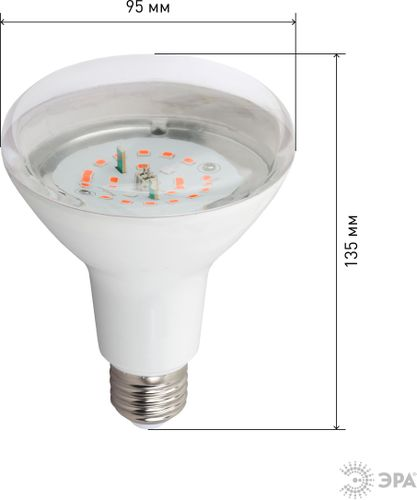 Светодиодная фитолампа красно-синего спектра ЭРА FITO-16W-RB-E27-K 16Вт 1310K, крупный план