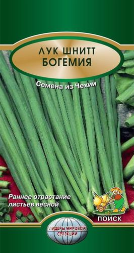 Семена Шнитт-лука ПОИСК Богемия 0,5 г, картинка