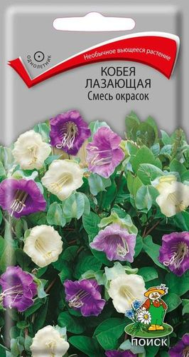 Семена Кобеи ПОИСК Смесь окрасок лазающая 5 х 5 шт, изображение