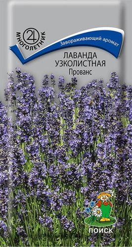 Семена Лаванды узколистной ПОИСК Прованс 1 г, фотография