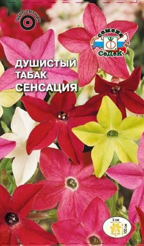Семена табака душистого СеДеК Сенсация 0,1 г, фотография