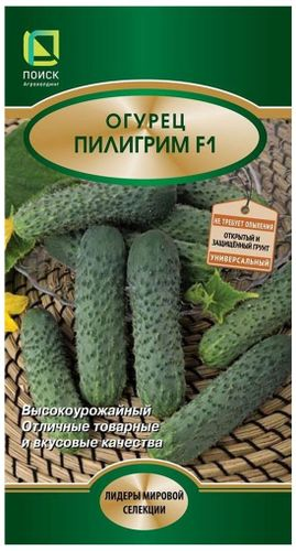 Семена Огурца Поиск Пилигрим F1, 12x12шт, вид