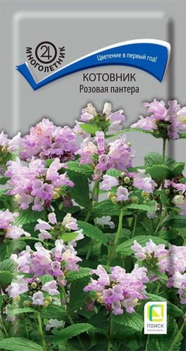 Семена Котовника ПОИСК Розовая пантера 10 шт, вид