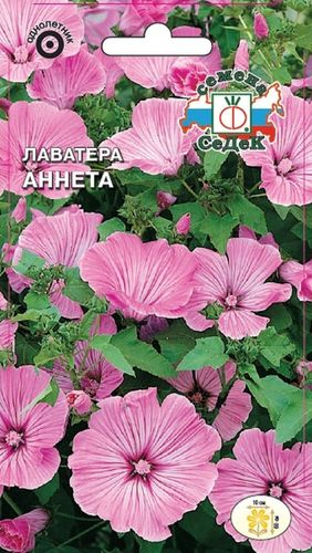 Семена Лаватеры СеДеК Аннета трехмесячная 0,5 г, детальное фото