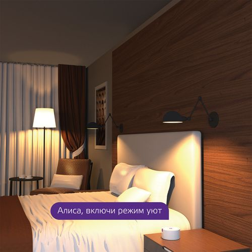 Умная Wi-Fi лампочка GaussSmartHome А60 8,5W  806лм E27 DIM управление голосом/смартфоном, детальное фото