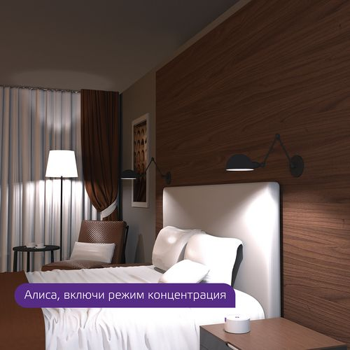Умная Wi-Fi лампочка GaussSmartHomeFilament А60 6,5W 806лм E27 ССT DIM управление голосом/смартфоном, картинка