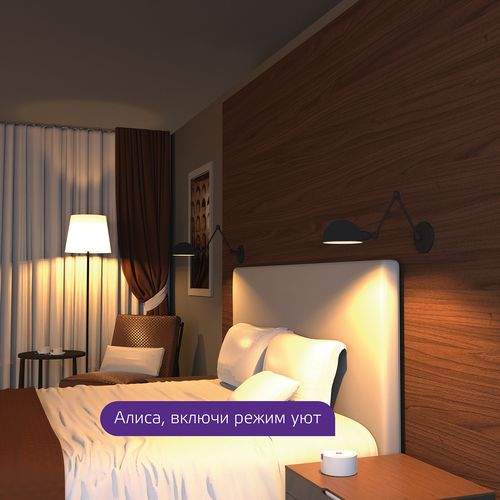 Умная Wi-Fi лампочка Gauss Smart Home C37 5W 470лм E14 DIM управление голосом/смартфоном 1/10/40, фото