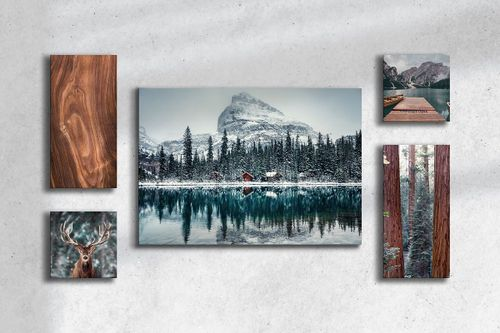 Модульная картина Симфония 5 в 1 Зимняя природа, фотография
