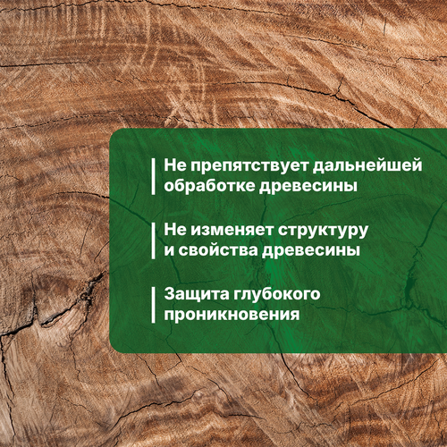 Антисептик PROSEPT Антижук против жуков и других биопоражении 5л, фото