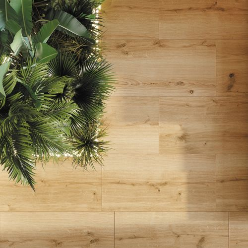 Керамогранит Cersanit Woodhouse Коричнев 29,7X59,8 см 1,77 м², крупный план