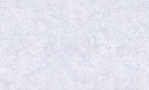 Обои виниловые на флизелиновой основе HC72440-14 (8) Обои 10 HomeColor, фотография