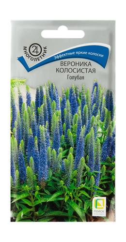 Семена, изображение