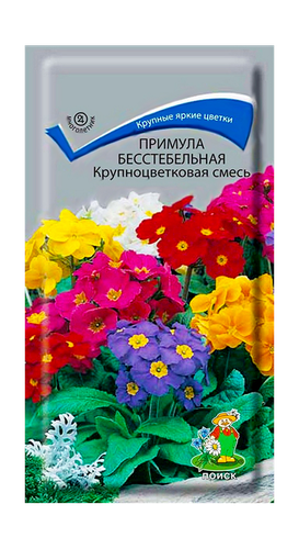 Семена ПОИСК примула Смесь 0,04 г, изображение