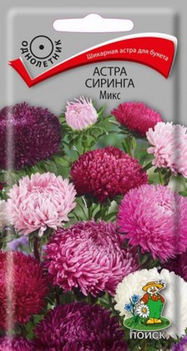 Семена Астра Сиринга в ассортименте, вид