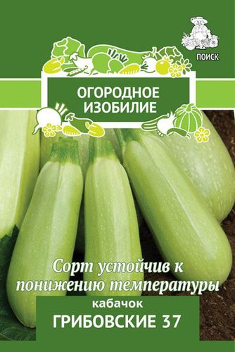 Семена Кабачок Грибовские 37 2 гр, фотография