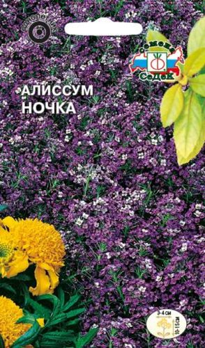 Семена Алиссум Ночка морской СеДек, вид