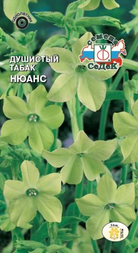 Семена Табак душистый Нюанс СеДек 3 гр, крупный план