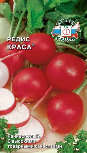 Редис Краса СеДеК 3г, картинка
