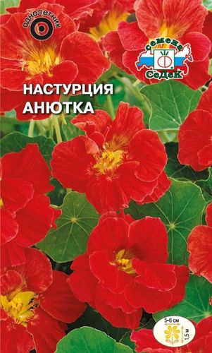 Семена Настурция Анютка СеДек, вид