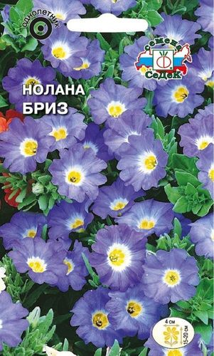 Семена Ноланы СеДеК Бриз 0,5 г, фотография