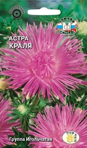 Семена Астры СеДеК Краля 0,25 г, картинка