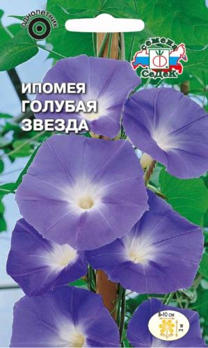 Семена Ипомея Голубая Звезда СеДек, вид