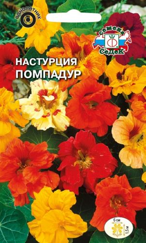 Семена Настурция Помпадур СеДек, детальное фото