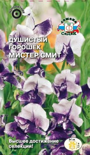 Семена Горошек душистый Мистер-Смит СеДек, фотография