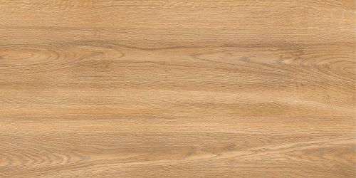 Керамогранит GlobalTile Woodstock Бежевый 40х80 GT408013802MCR, крупный план