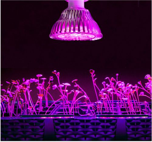 Фитолампа GARDEN SHOW светодиодная 7 Вт, вид